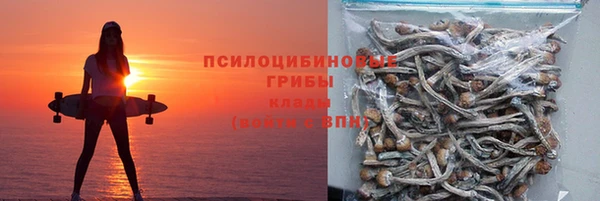 spice Михайловск