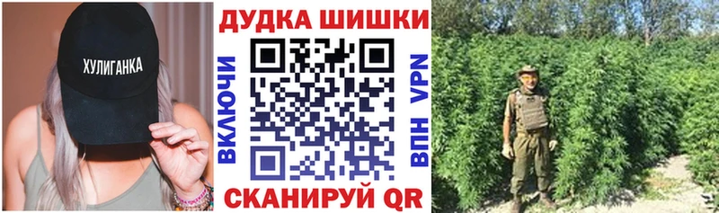 Купить  Ершов  Конопля Amnesia 
